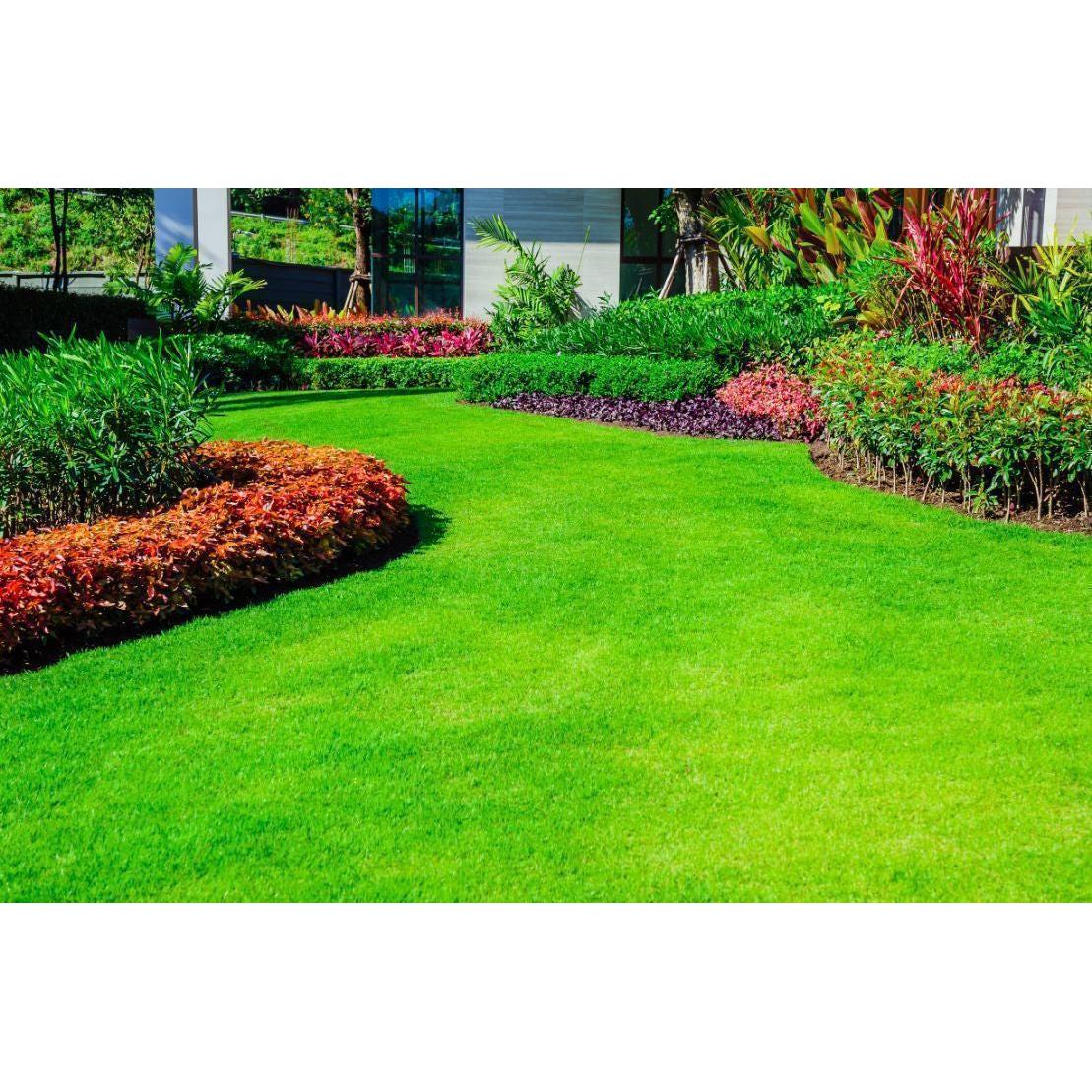 Garden United Backyard