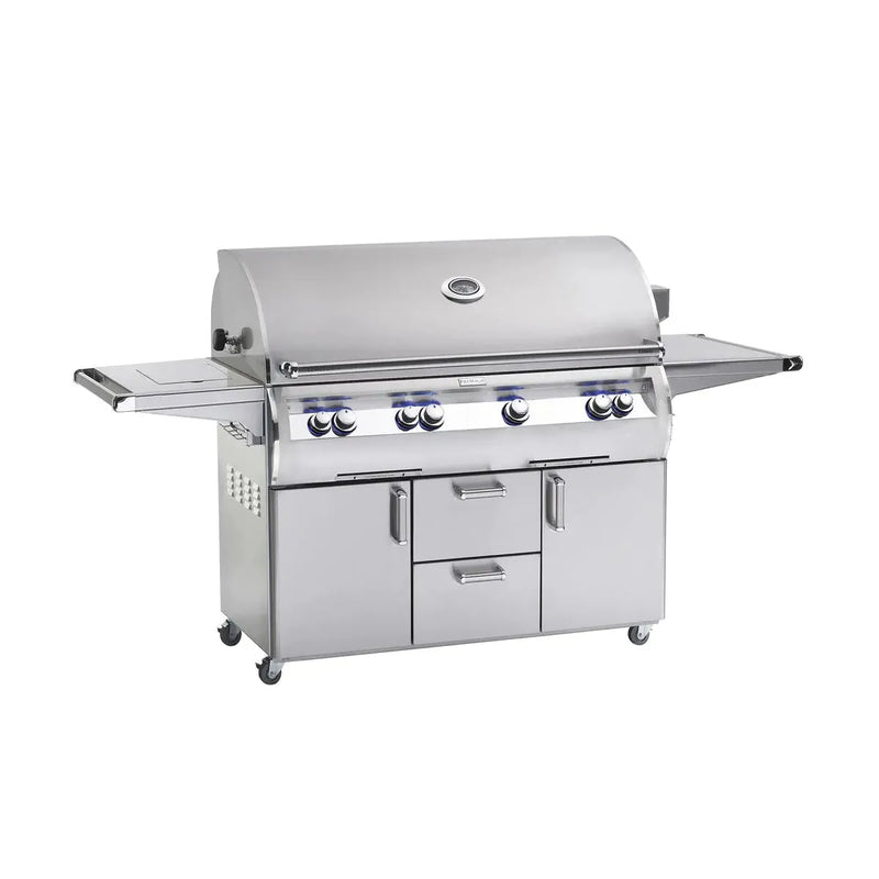 Fire Magic - Echelon Diamond E1060s 48-Inch A Series Freestanding Gas Grill With Rotisserie, Infrared Burner, Single Side Burner And Analog Thermometer, Natural Gas-United Backyard