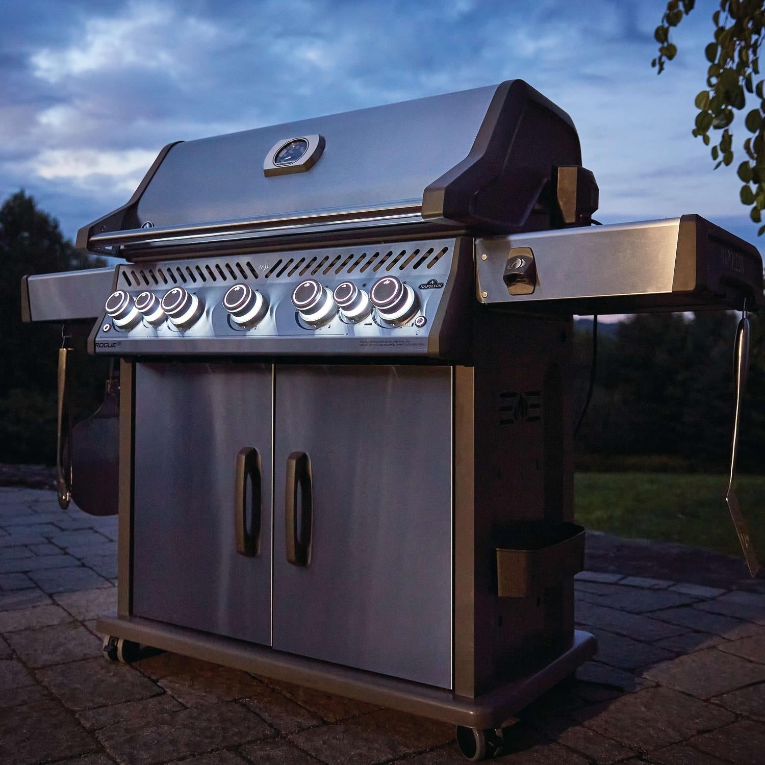 Napoleon BBQ - ROGUE® SE 625 RSIB-United Backyard